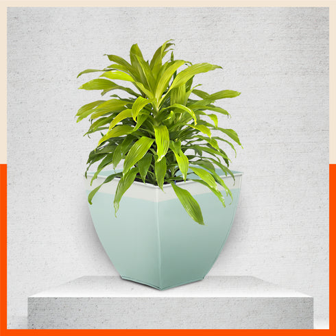 MYLA Metal Square Planters / Pots for Home / Garden / Balcony | Medium – Blue & White